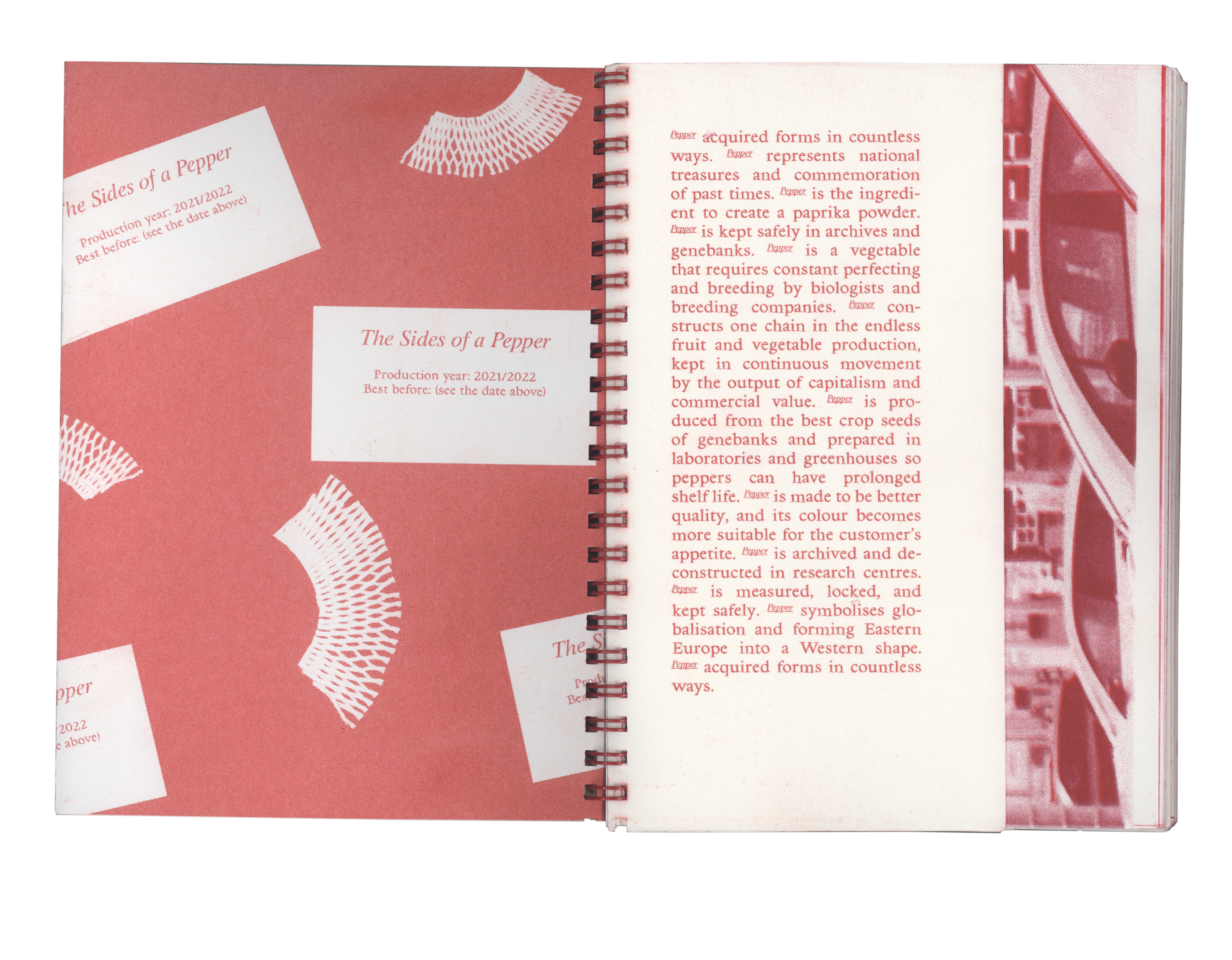 The Sides of the Pepper 2