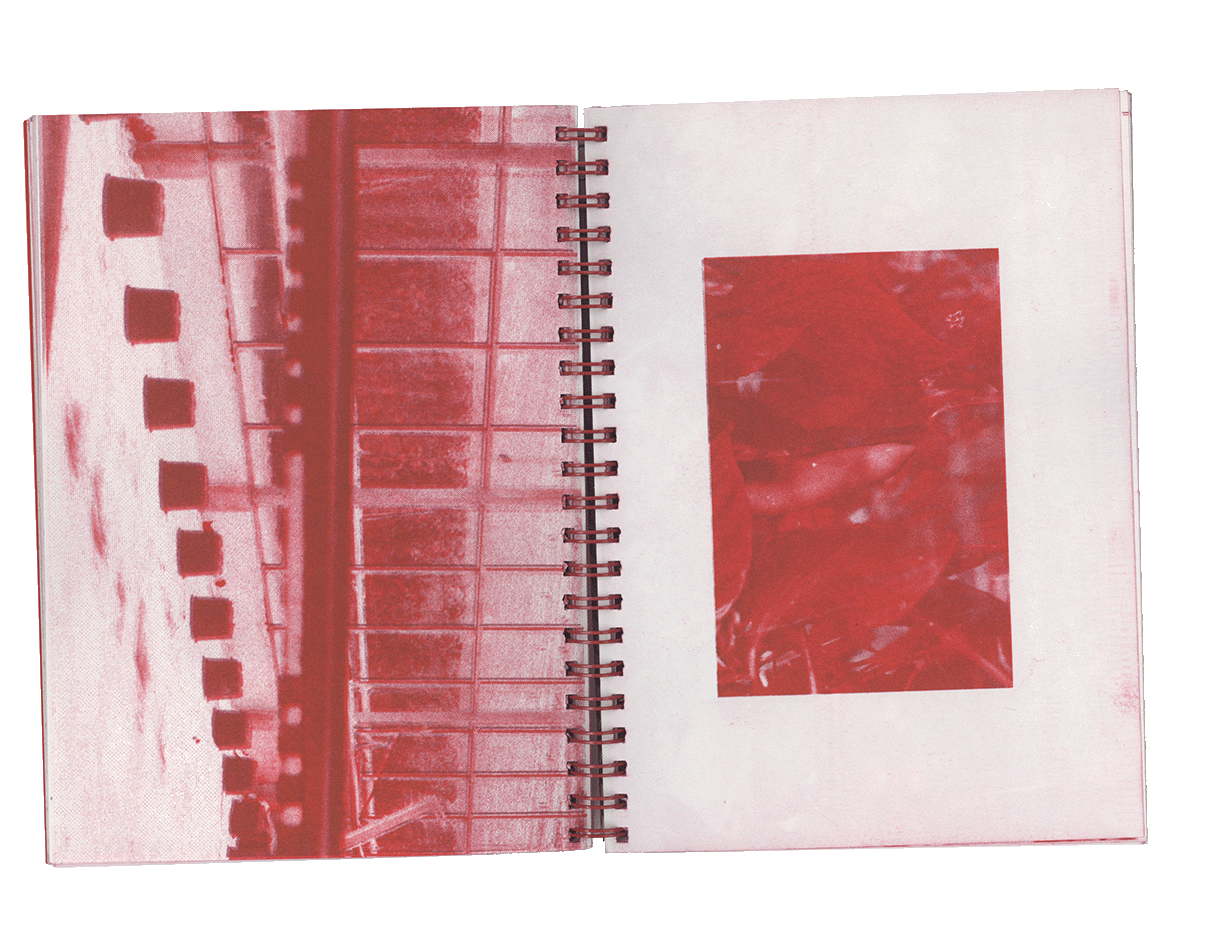 The Sides of the Pepper 7