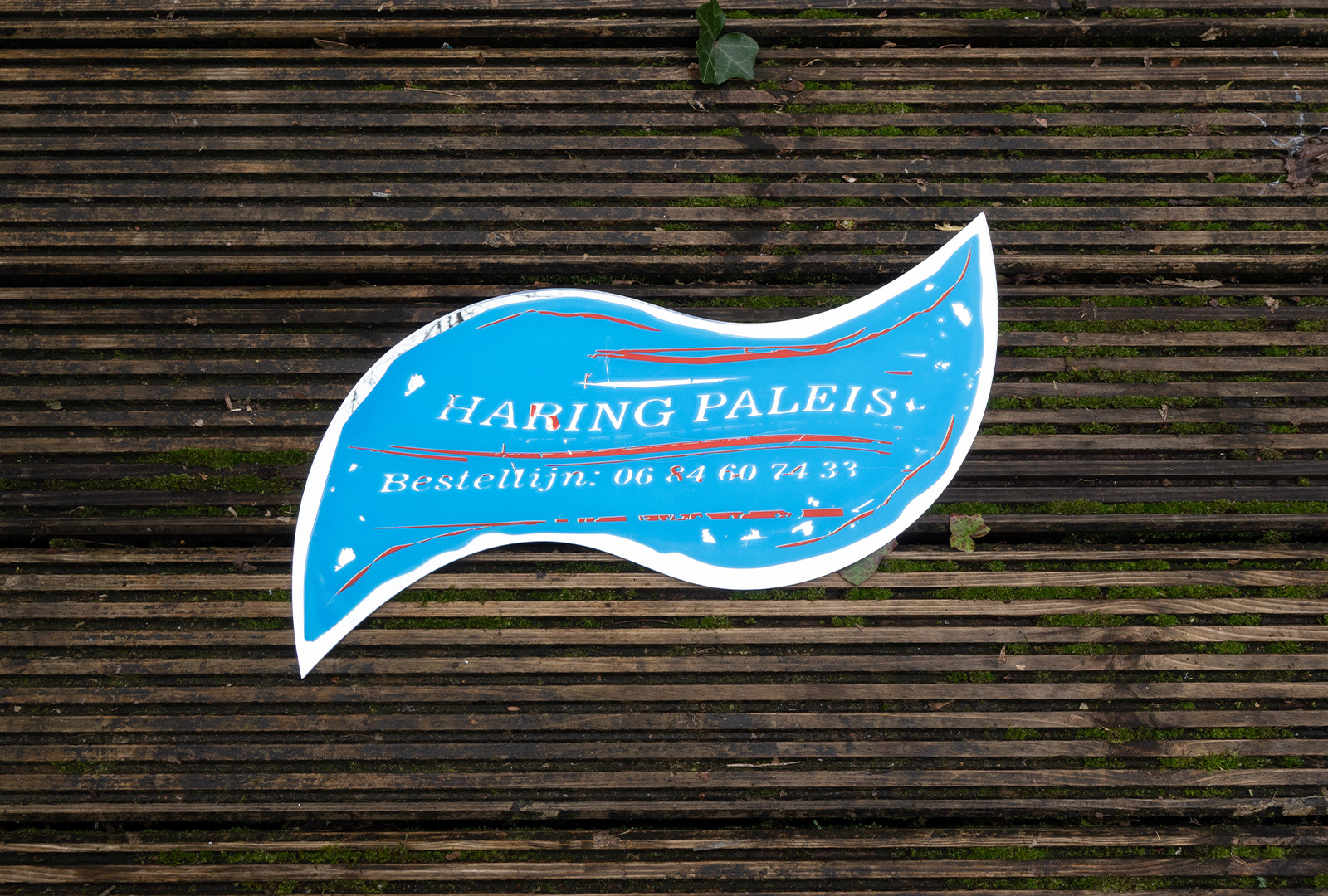 Haring Paleis engraving