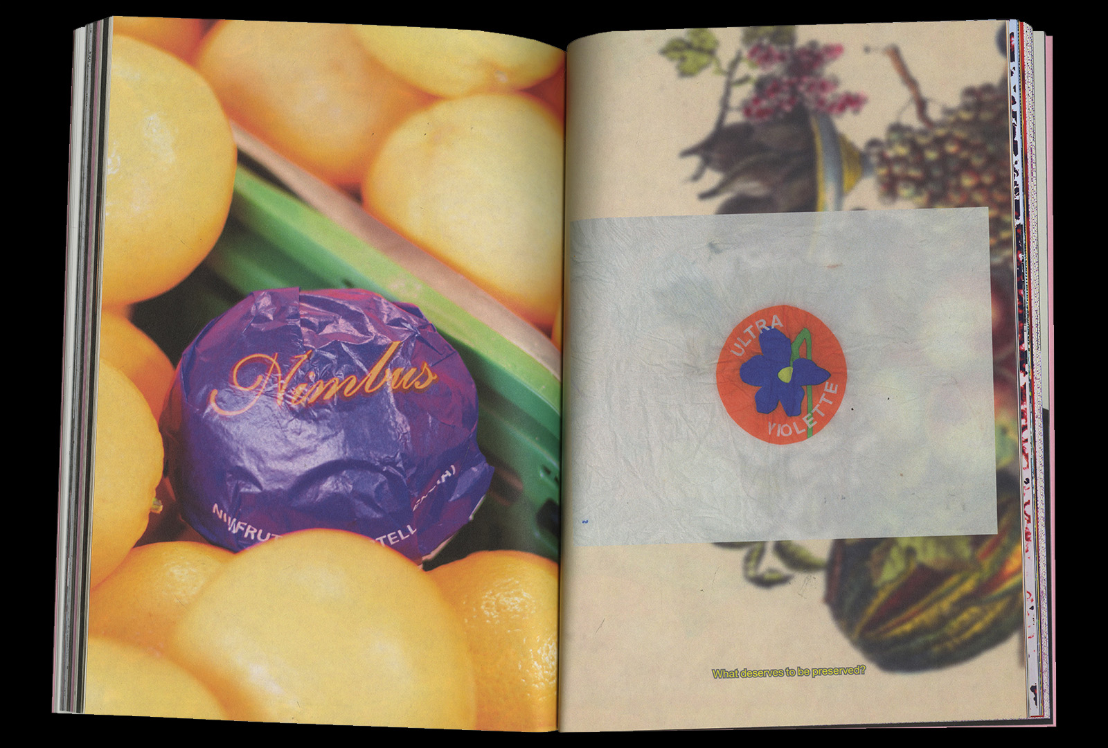 The Best Selected project image 7